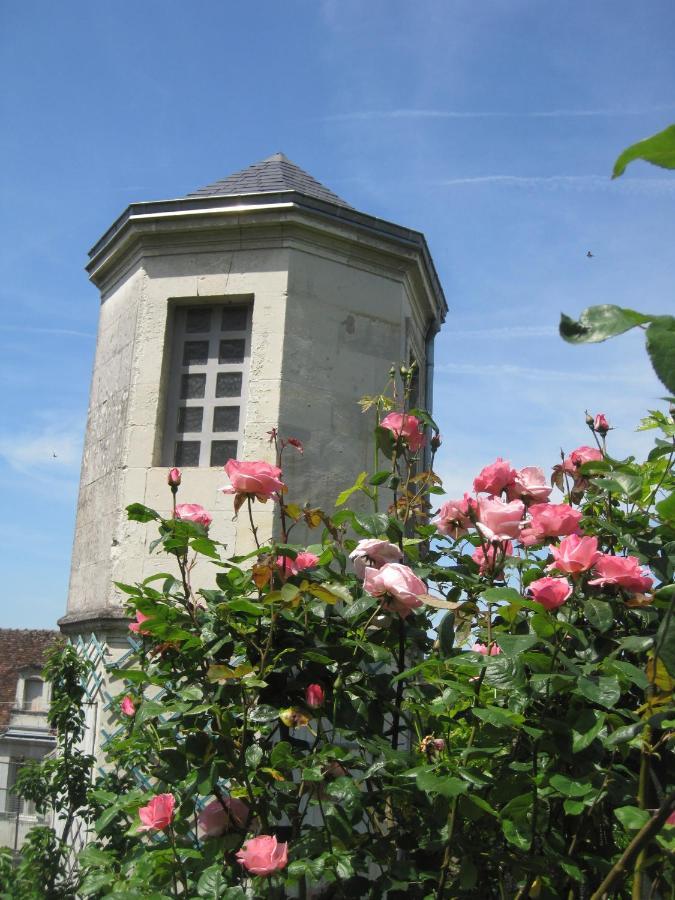 Villa A L'Ancien Pigeonnier Loches Buitenkant foto